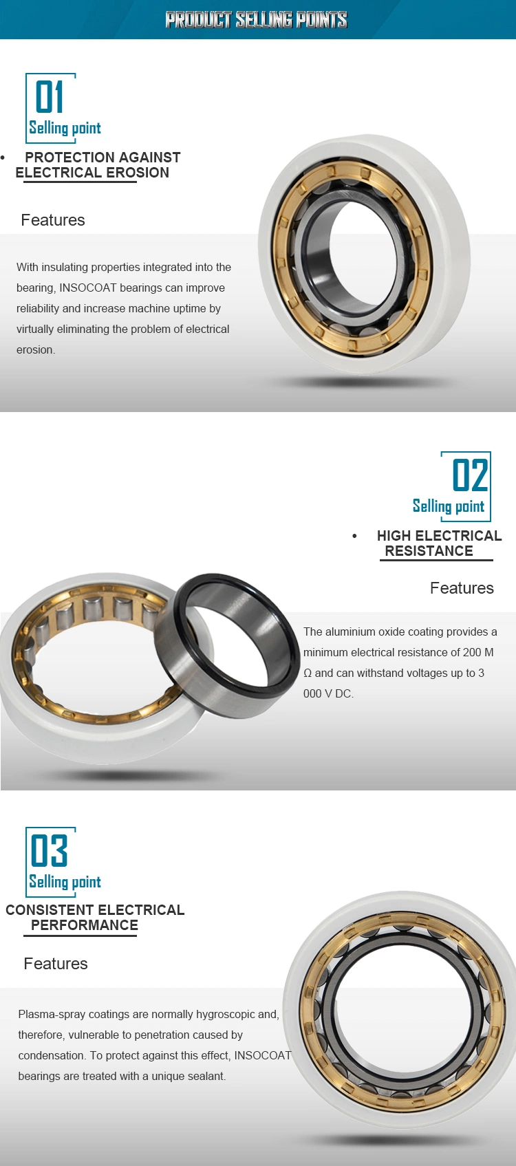 Nu 1012 Ecp/C3vl0241 Insocoat Bearings